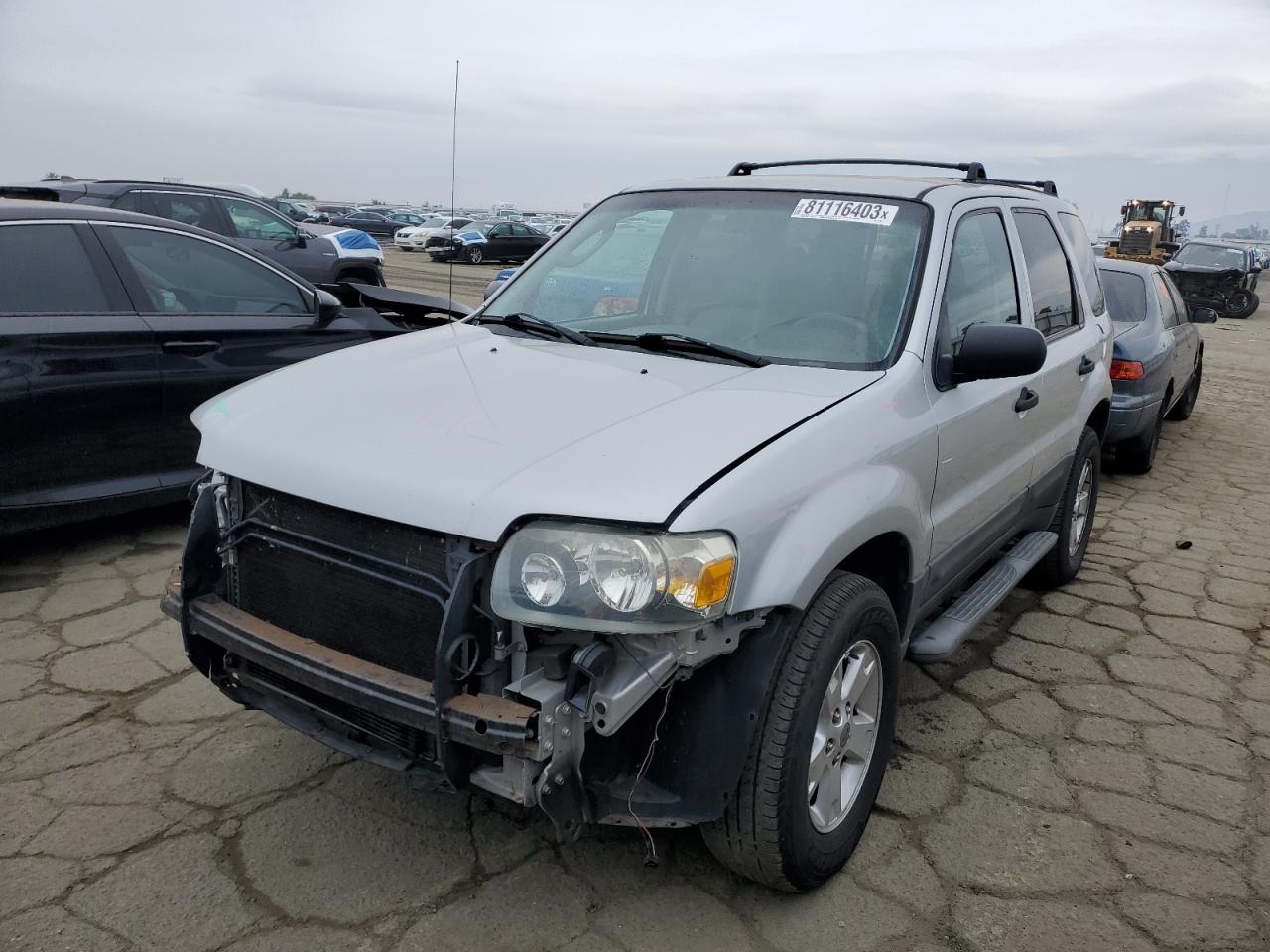 2006 FORD ESCAPE XLT 2006 image