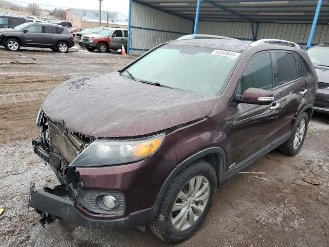 2011 KIA SORENTO EX 2011 image