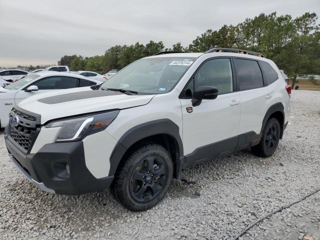 Image 1 of 2023 SUBARU FORESTER WILDERNESS 2023 with VIN JF2SKAMC5PH506014