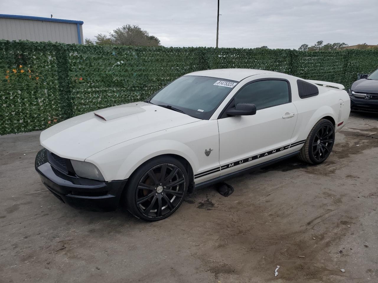 Obraz 2009 FORD MUSTANG  2009