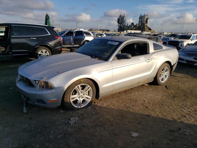 2010 FORD MUSTANG  2010 image