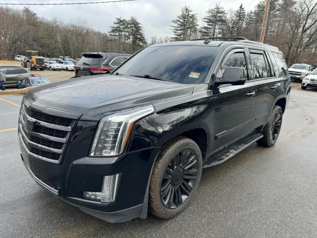 Obraz 2015 CADILLAC ESCALADE LUXURY 2015