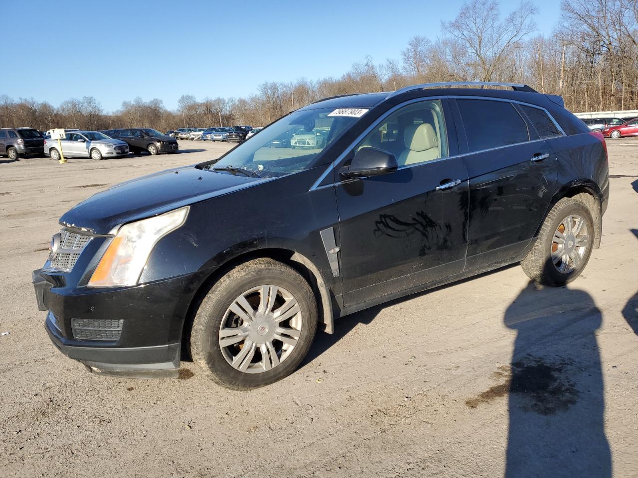 2011 CADILLAC SRX LUXURY COLLECTION 2011 image