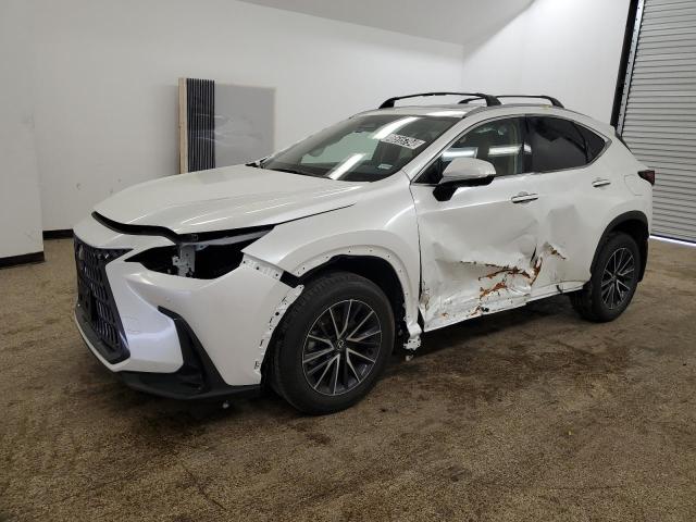 2024 LEXUS NX 350H BASE 2024 image