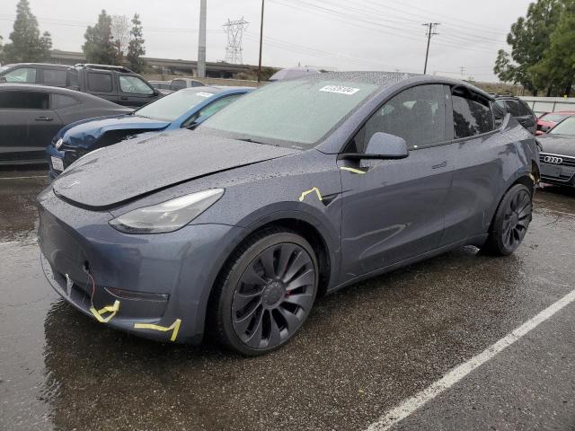 2022 TESLA MODEL Y  2022 image