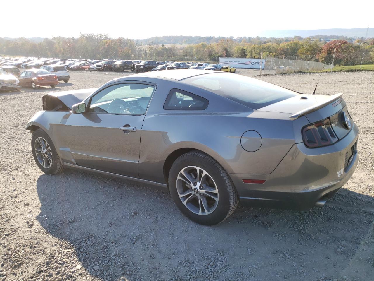 Obraz 2 z 2014 FORD MUSTANG  2014 z VIN 1ZVBP8AM1E5209601