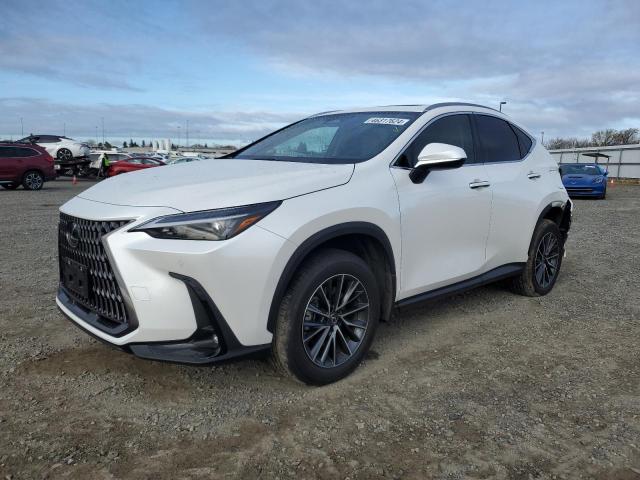 2024 LEXUS NX 350H BASE 2024 image