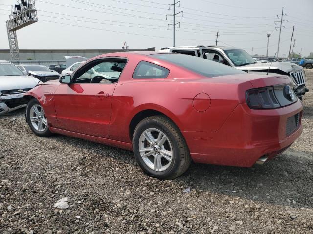 Obraz 2 z 2013 FORD MUSTANG  2013 z VIN 1ZVBP8AMXD5278642