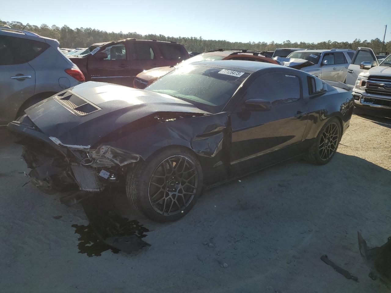 Image 1 of 2013 FORD MUSTANG SHELBY GT500 2013 with VIN 1ZVBP8JZ5D5256723