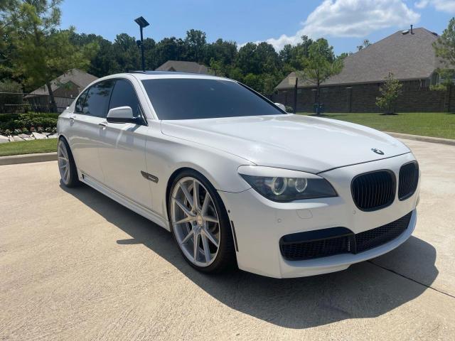 2010 BMW 750 LI 2010 image