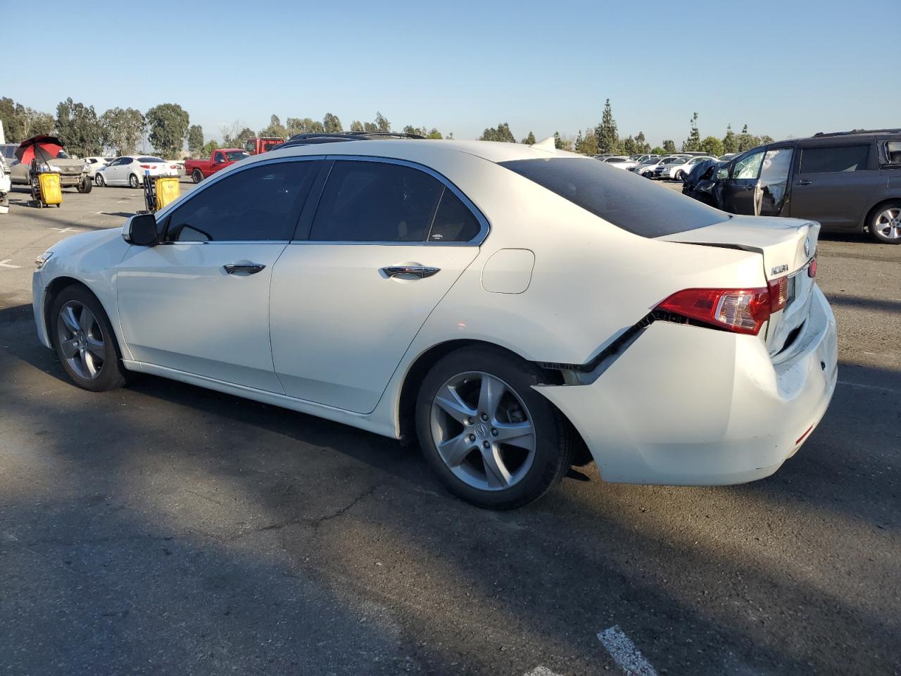 Изображение 2 2011 ACURA TSX  2011 с VIN JH4CU2F69BC013631