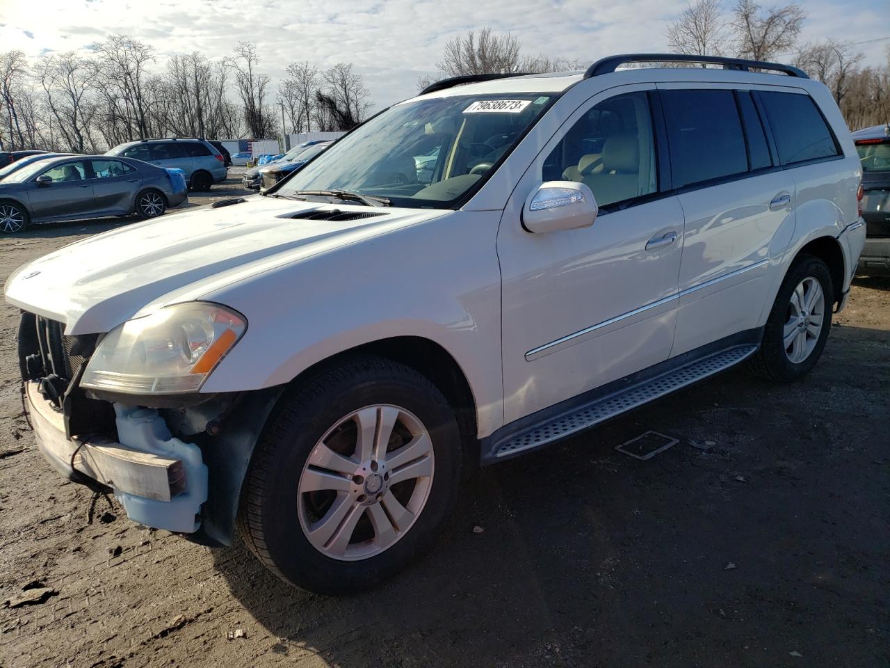 Image 1 of 2009 MERCEDES-BENZ GL 450 4MATIC 2009 with VIN 4JGBF71E09A443388