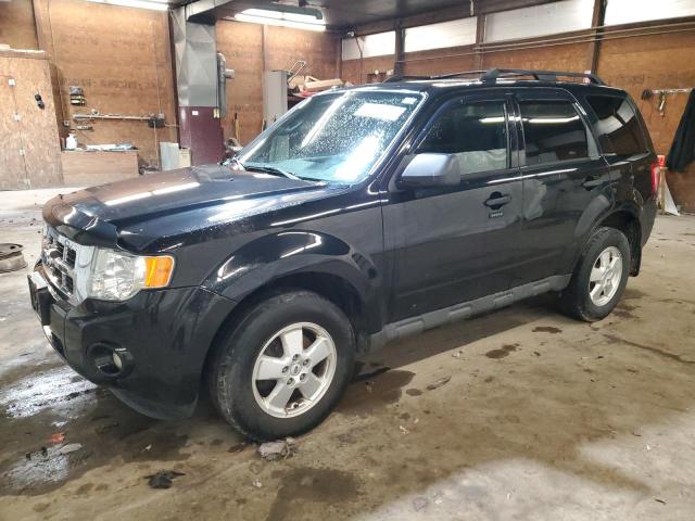 2012 FORD ESCAPE XLT 2012 image