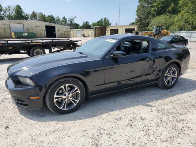Image 1 of 2014 FORD MUSTANG  2014 with VIN 1ZVBP8AM4E5211018