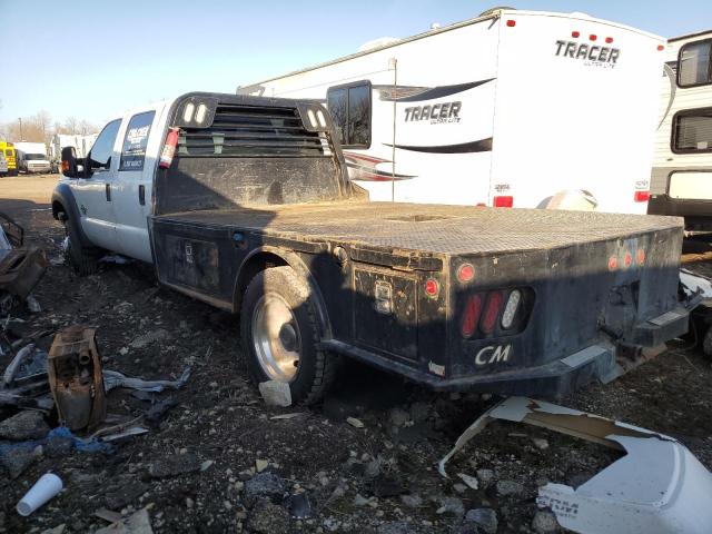 Obraz 2 z 2014 FORD F550 SUPER DUTY 2014 z VIN 1FD0W5HT0EEA32222