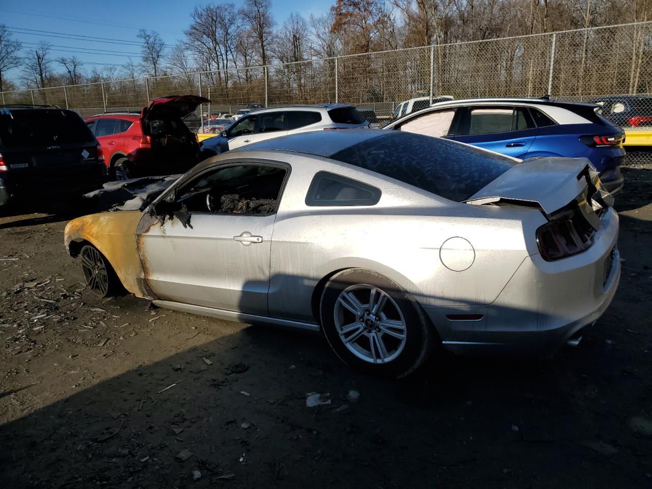 Image 2 of 2014 FORD MUSTANG  2014 with VIN 1ZVBP8AM4E5269632