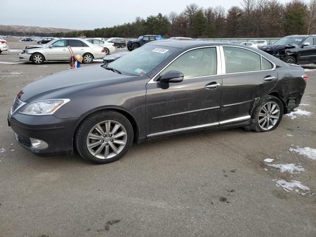 Obraz 2010 LEXUS ES 350 2010