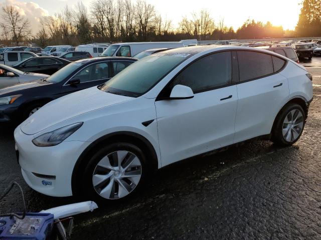 2021 TESLA MODEL Y  2021 image
