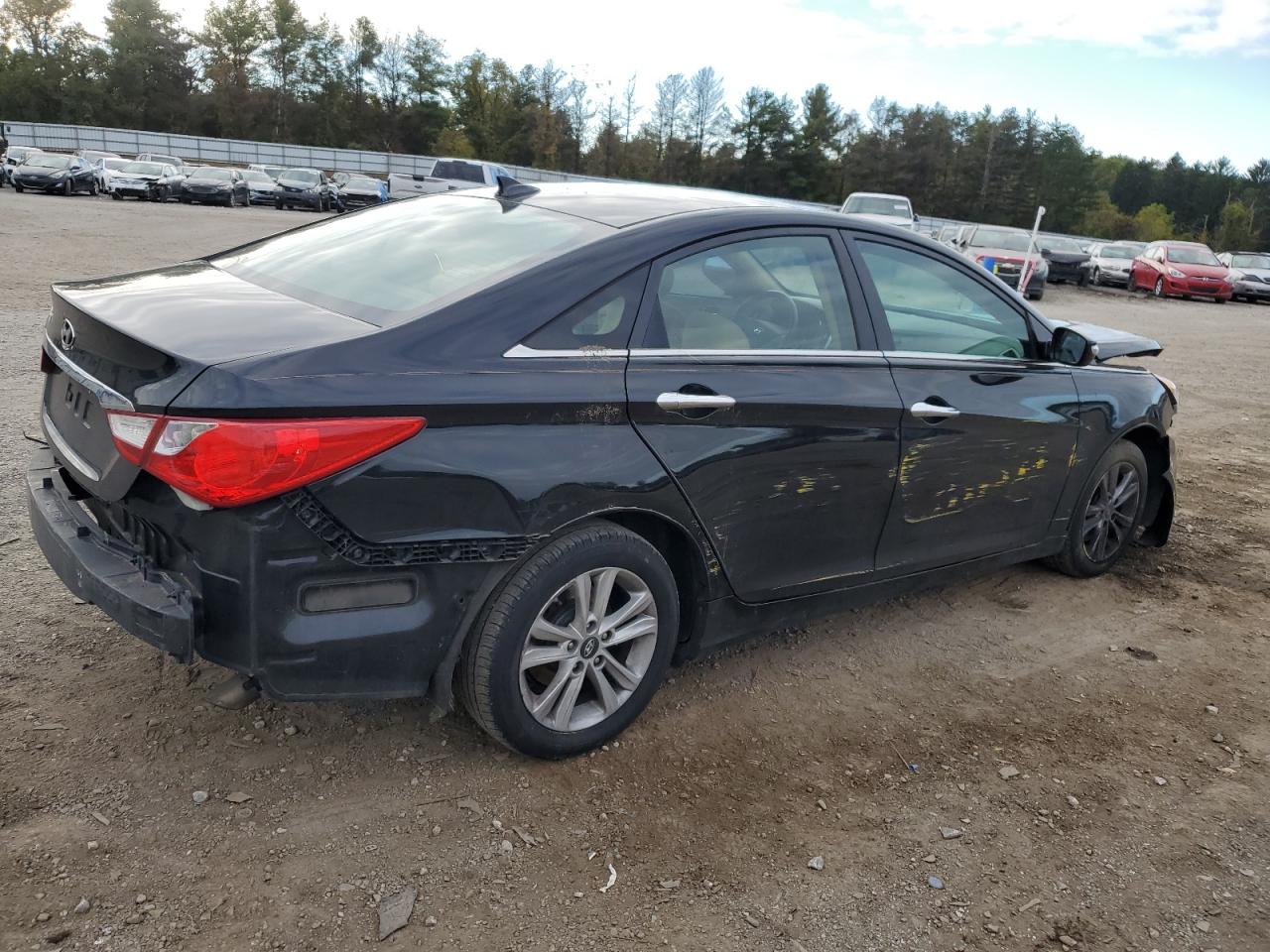 Изображение 3 2013 HYUNDAI SONATA GLS 2013 с VIN 5NPEB4AC5DH711914