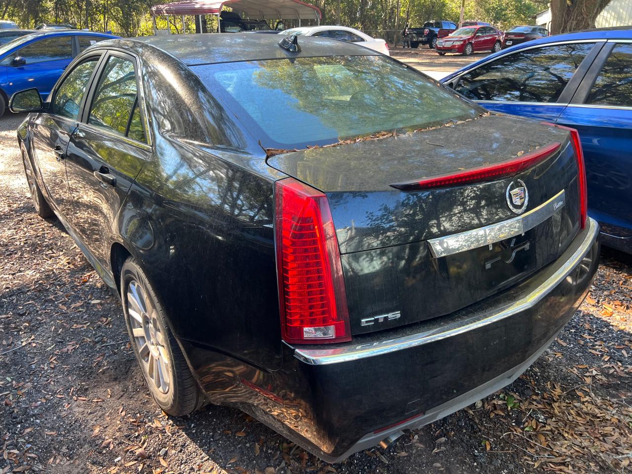 Obraz 3 z 2013 CADILLAC CTS LUXURY COLLECTION 2013 z VIN 1G6DE5E51D0160112