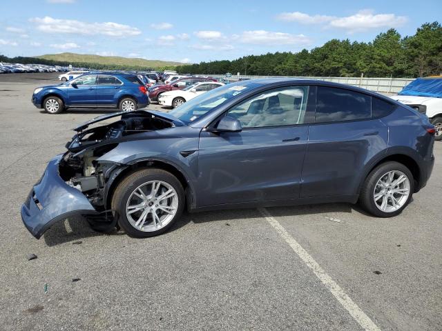 2023 TESLA MODEL Y  2023 image