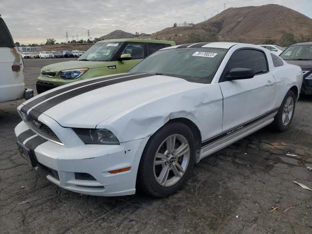 2014 FORD MUSTANG  2014 image