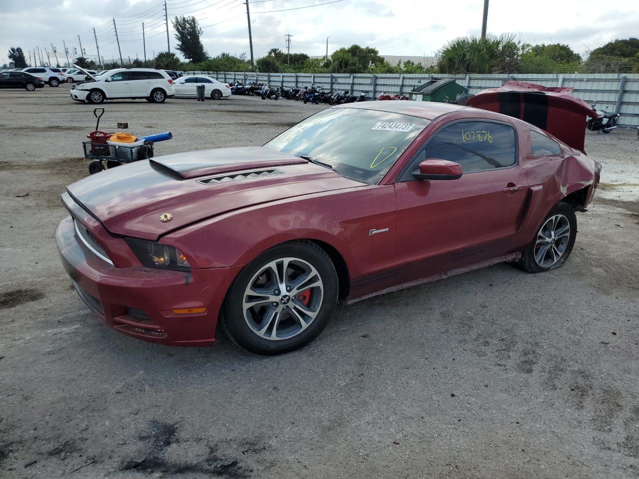 2014 FORD MUSTANG  2014 image