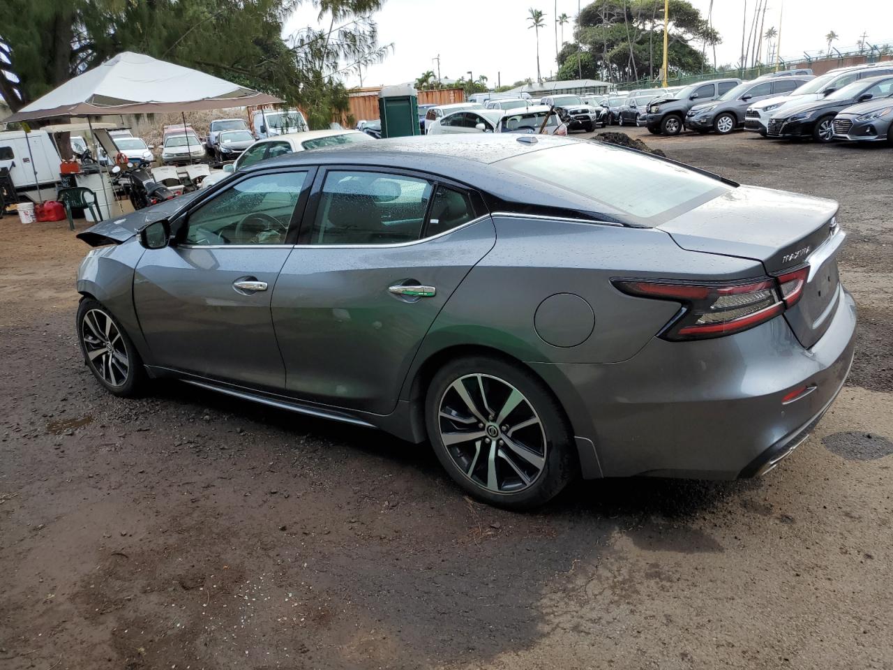 Image 2 of 2021 NISSAN MAXIMA SV 2021 with VIN 1N4AA6CV7MC514577