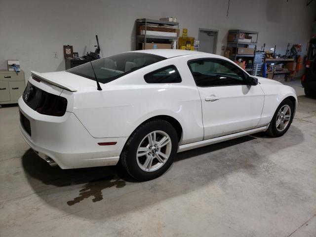 Obraz 3 z 2013 FORD MUSTANG  2013 z VIN 1ZVBP8AM9D5270872