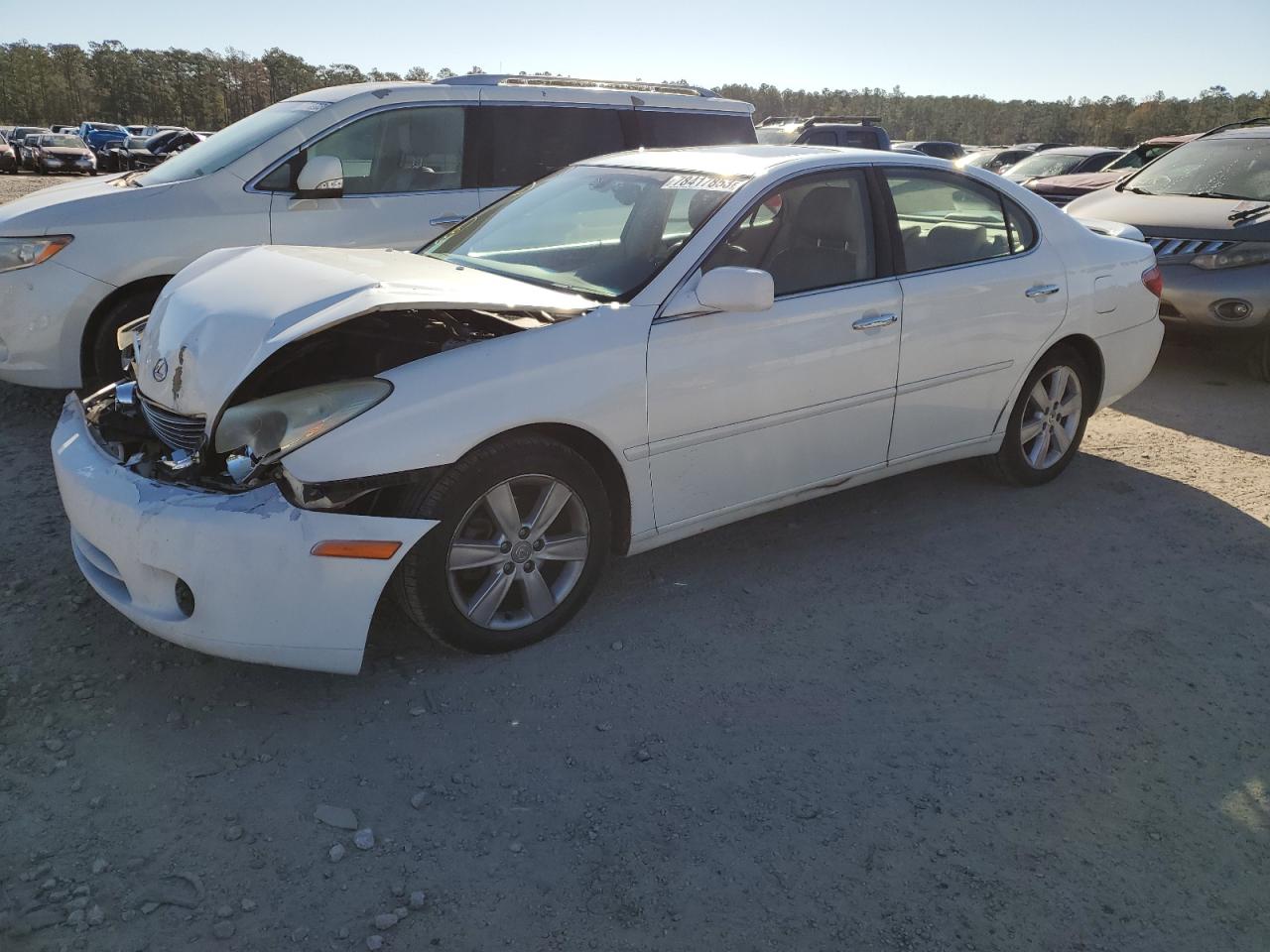 Obraz 2005 LEXUS ES 330 2005