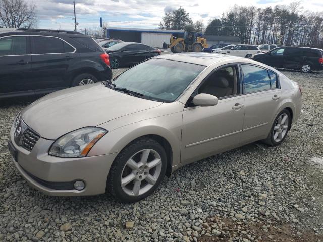 2005 NISSAN MAXIMA SE 2005 image
