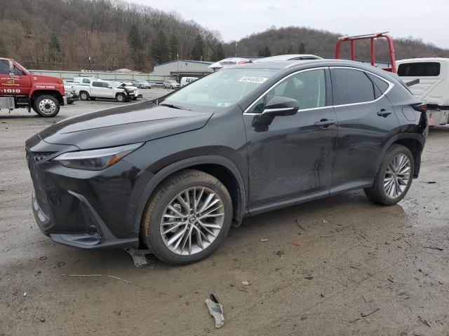 2024 LEXUS NX 350H BASE 2024 image