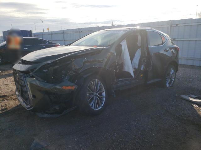 Obraz 2022 LEXUS NX 350H 2022
