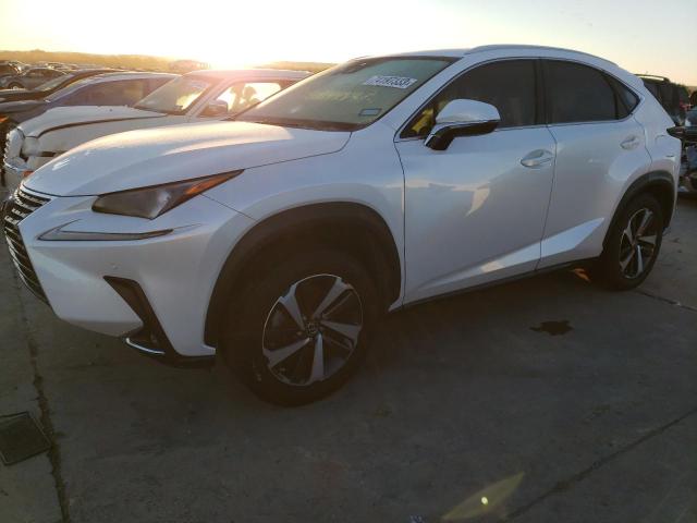 Image 1 of 2021 LEXUS NX 300 BASE 2021 with VIN JTJGARDZ4M5026020