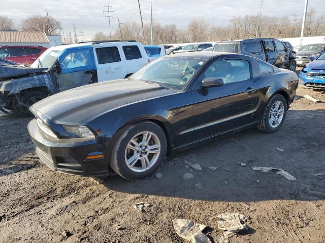 Image 1 of 2014 FORD MUSTANG  2014 with VIN 1ZVBP8AM8E5269875
