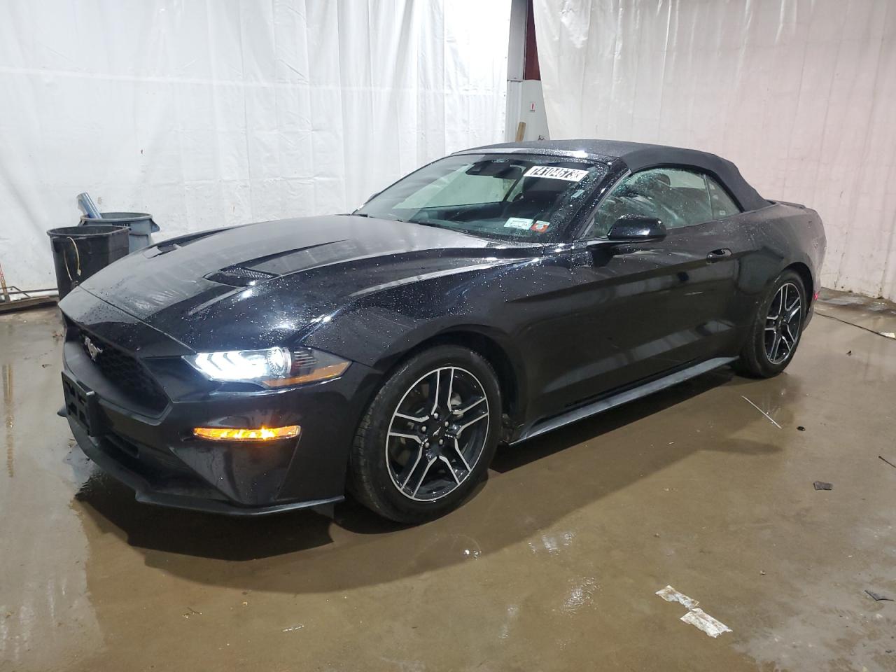 Obraz 2022 FORD MUSTANG  2022