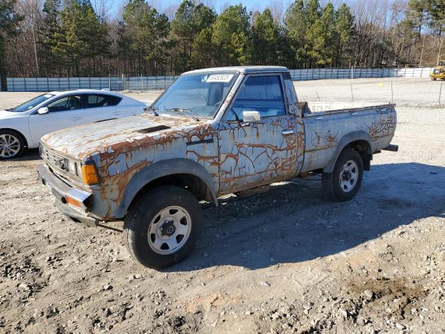 1981 DATSUN 720  1981 image