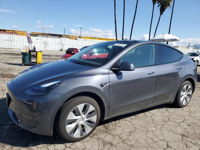 2023 TESLA MODEL Y  2023 image