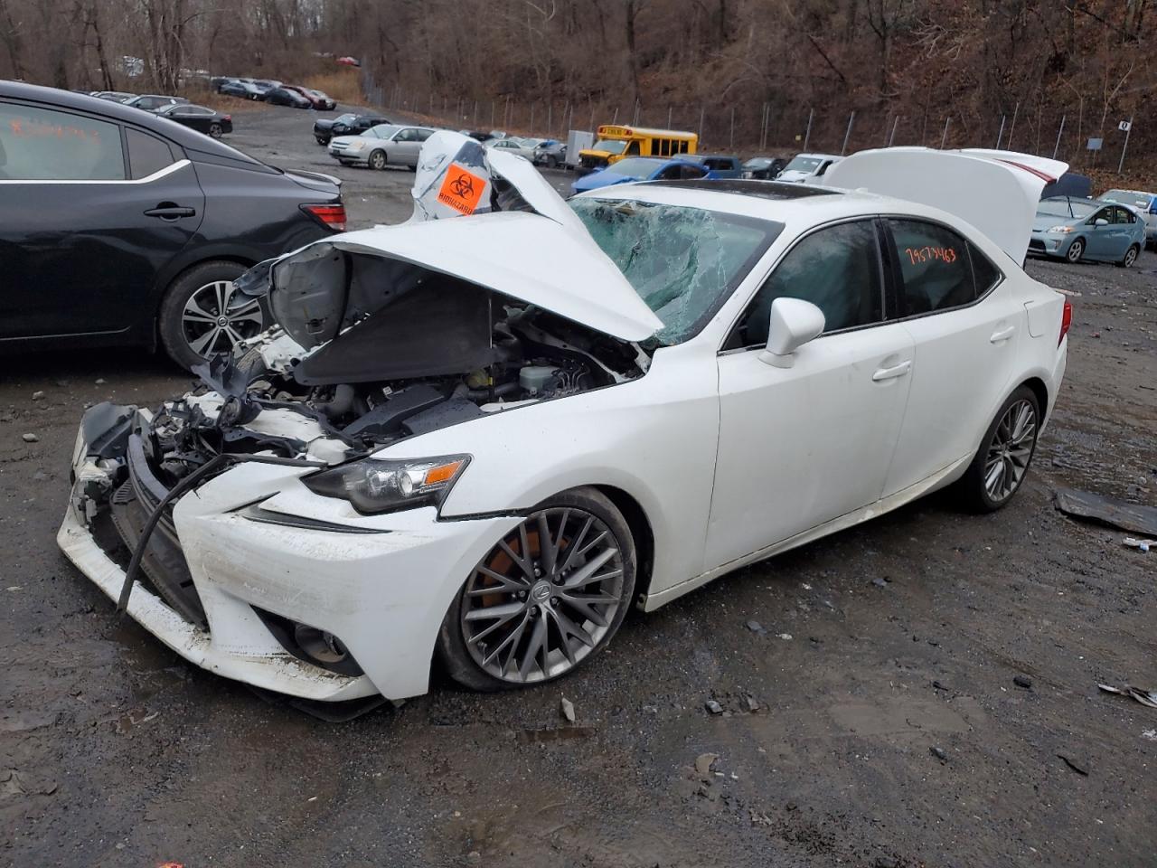 2014 LEXUS IS 250 2014 image