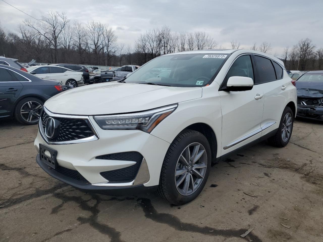 2019 ACURA RDX TECHNOLOGY 2019 image