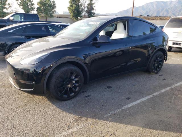 Image 1 of 2023 TESLA MODEL Y  2023 with VIN 7SAYGDEE5PF876264