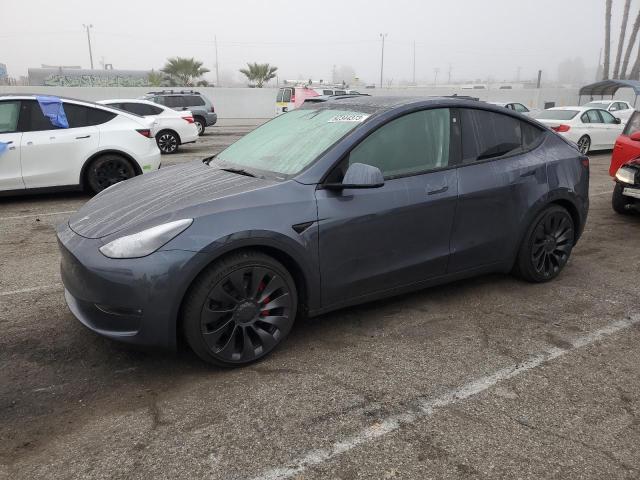 2023 TESLA MODEL Y  2023 image