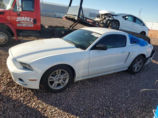 2014 FORD MUSTANG  2014 image