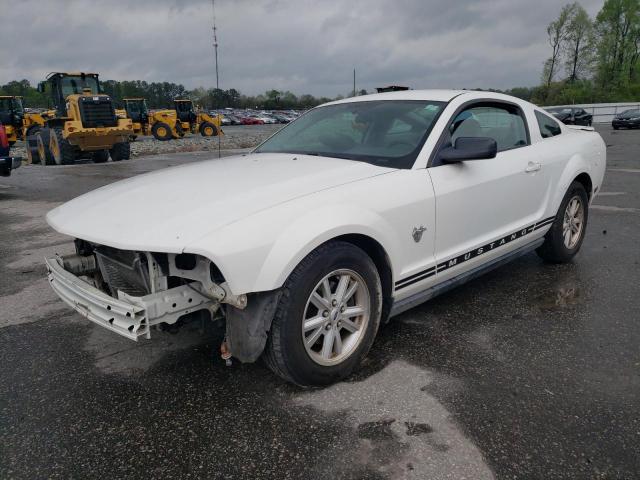 Image 1 of 2009 FORD MUSTANG  2009 with VIN 1ZVHT80N495104587