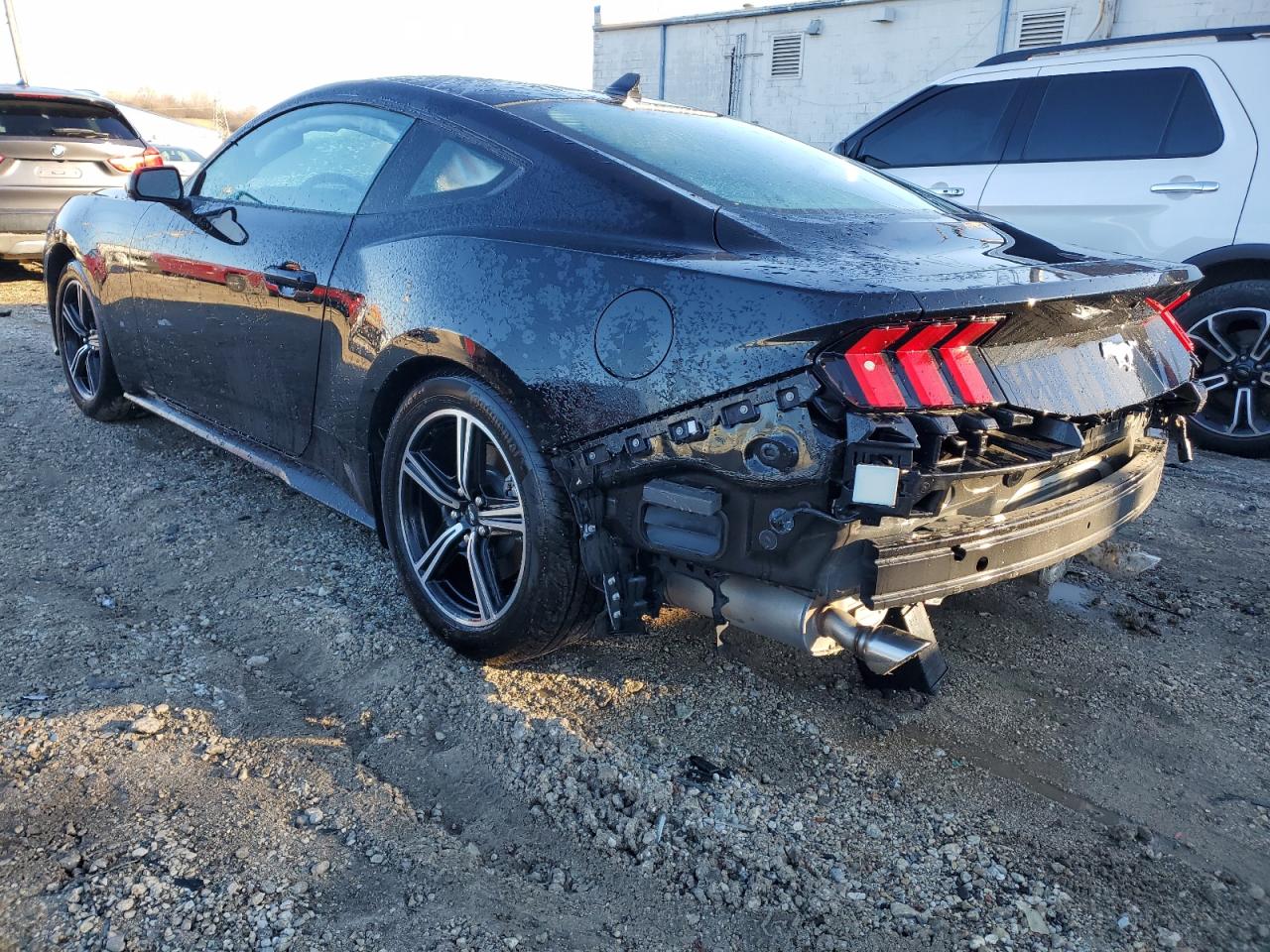 Изображение 2 2024 FORD MUSTANG  2024 с VIN 1FA6P8TH1R5107148