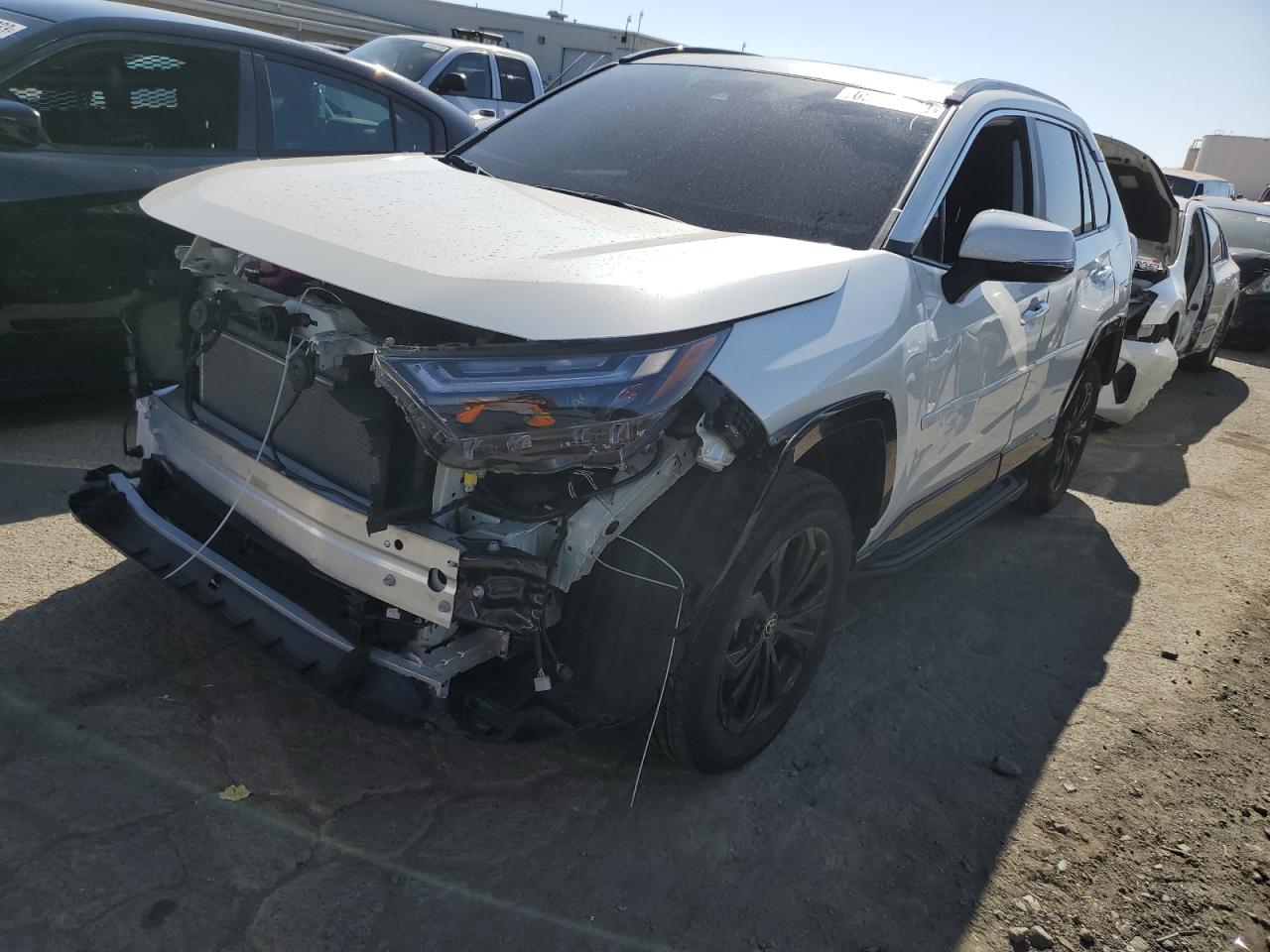 2022 TOYOTA RAV4 SE 2022 image