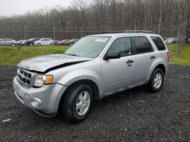 Obraz 2010 FORD ESCAPE XLT 2010