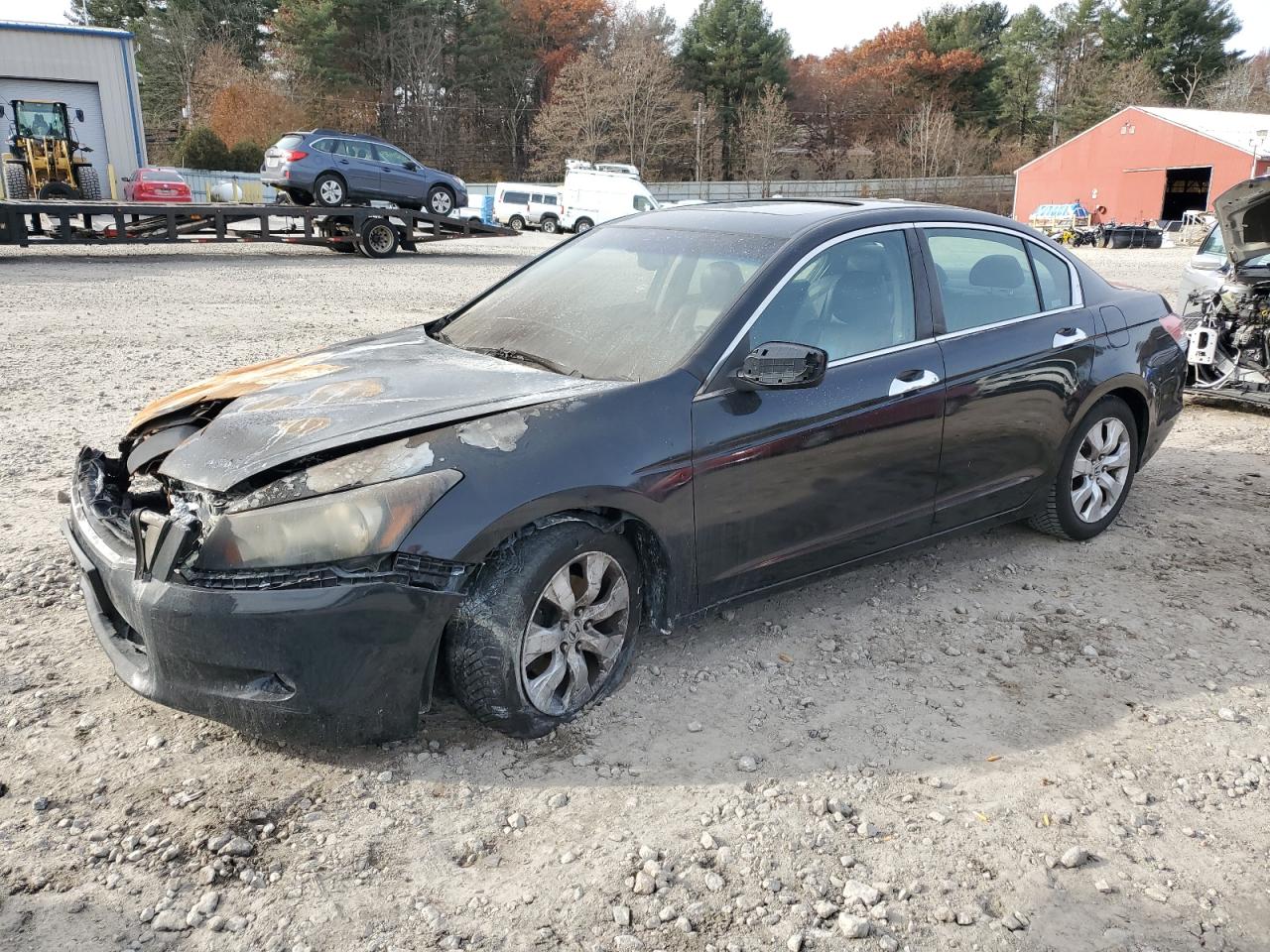 Изображение 1 2009 HONDA ACCORD EXL 2009 с VIN 5KBCP36899B501959