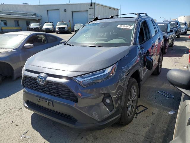 Image 1 of 2024 TOYOTA RAV4 XLE PREMIUM 2024 with VIN 2T3B6RFVXRW053957