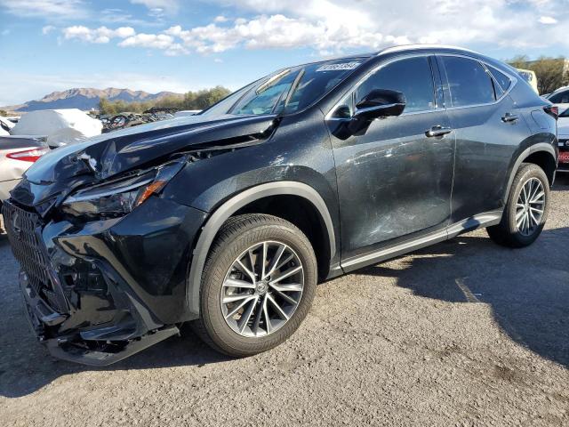 2024 LEXUS NX 350H BASE 2024 image